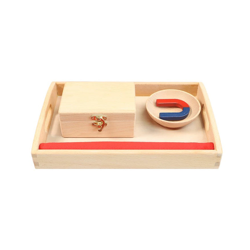 Magnet Activity