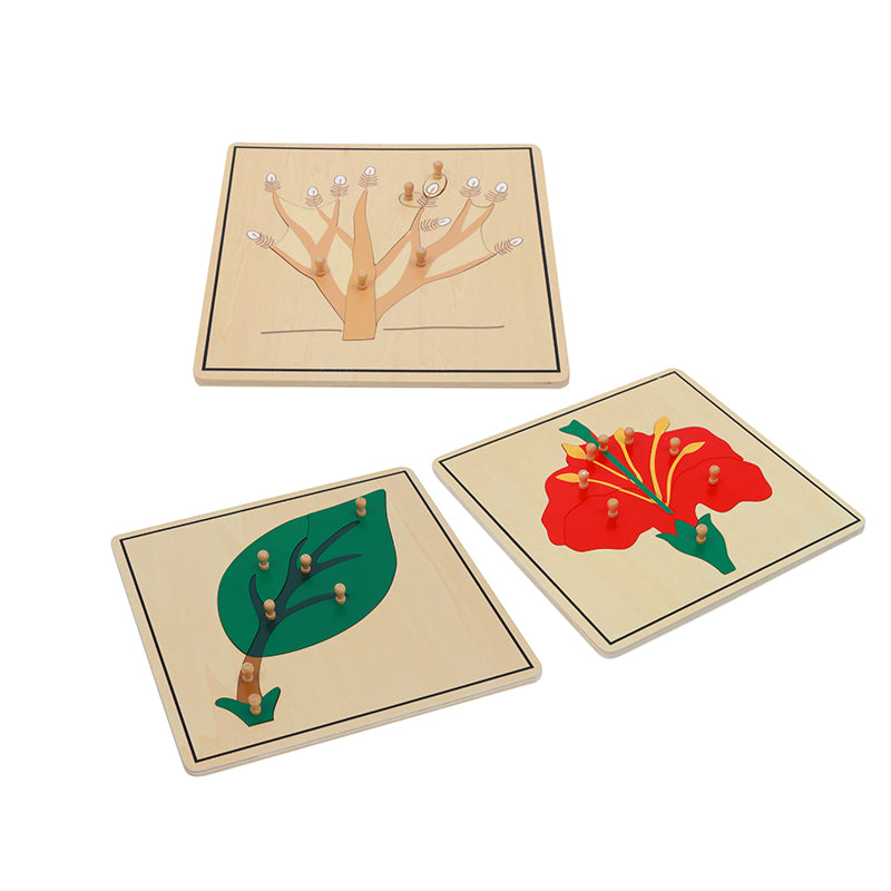 Botany  Puzzle Cabinet (3 Puzzles Included)