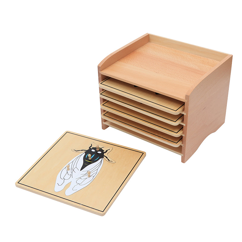 Insect  Puzzle Cabinet (5 Puzzles Included)