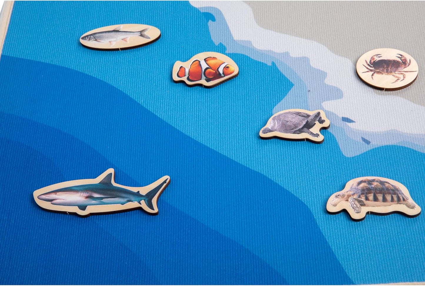 Land and Water Mat