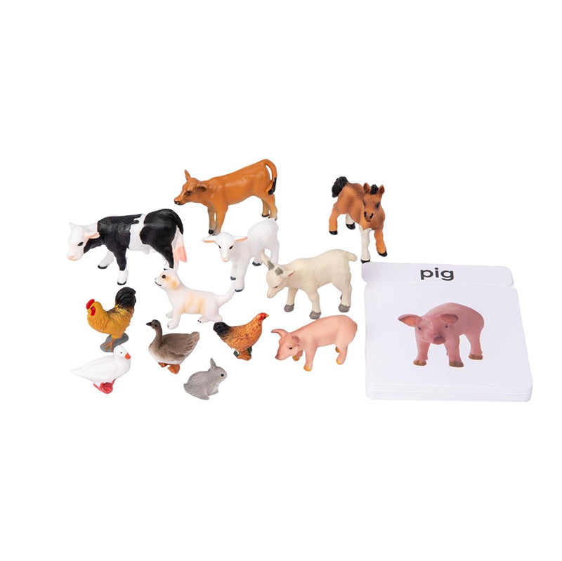 Adena Montessori Play Kit 13-14-15Month