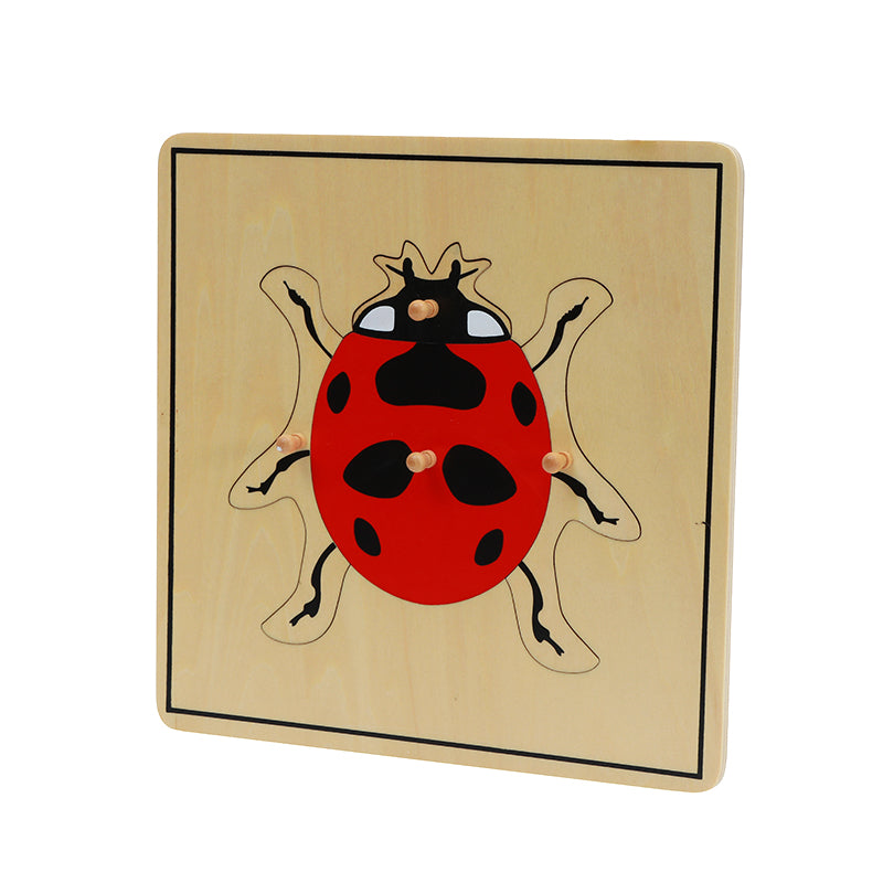 Lady Puzzle