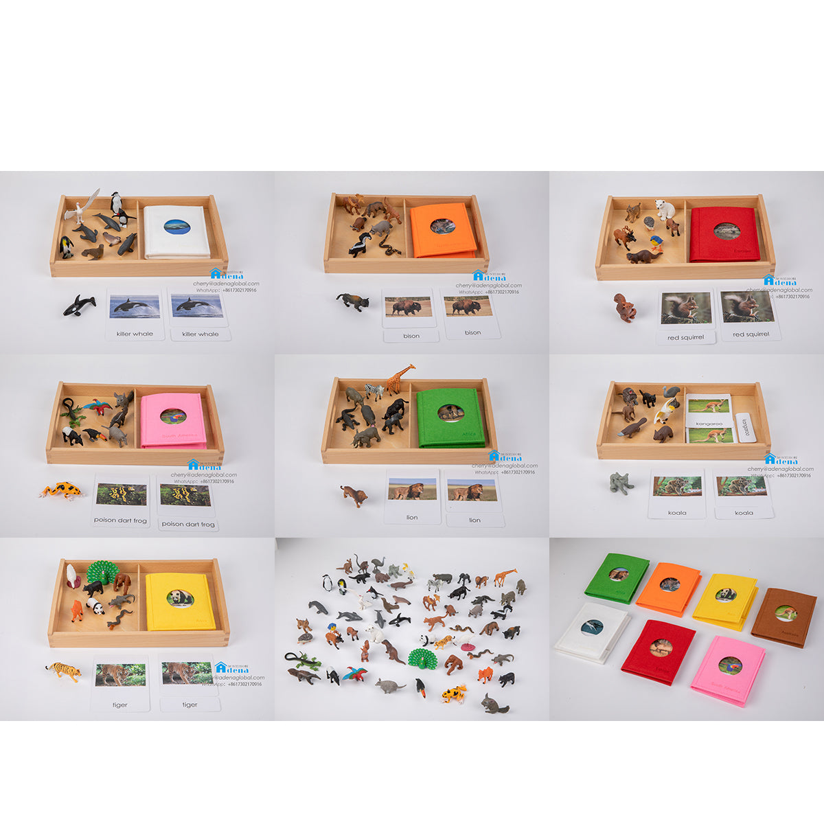 Animals from 7 Continents