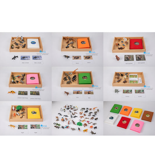 Animals from 7 Continents