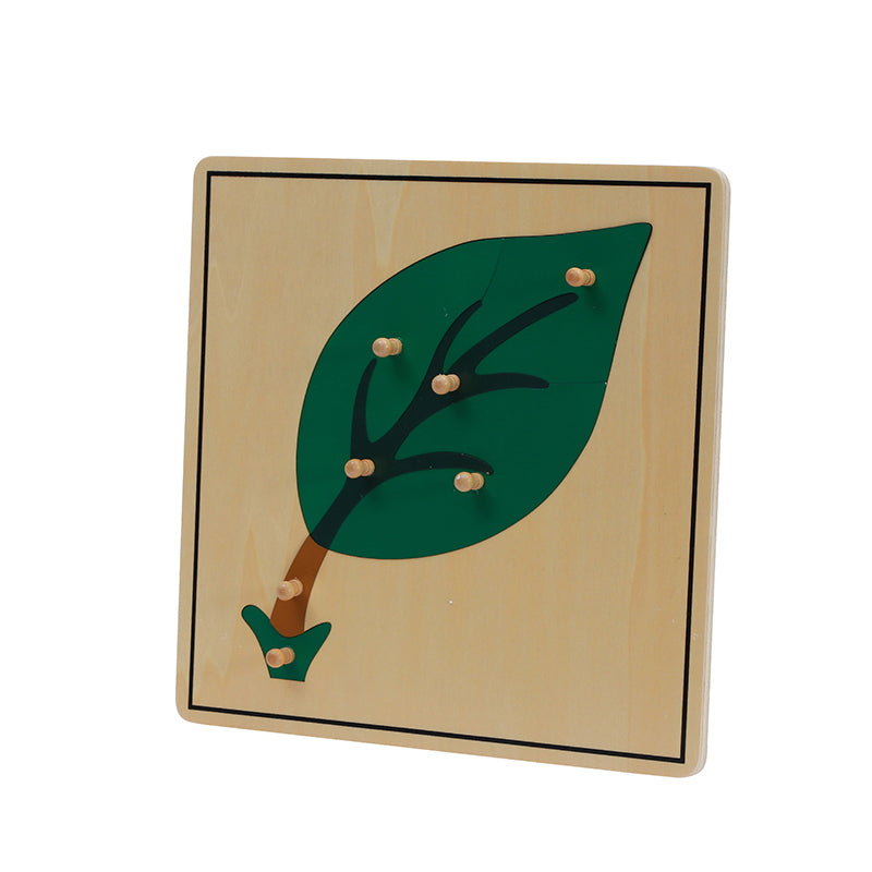 Leaf Puzzle