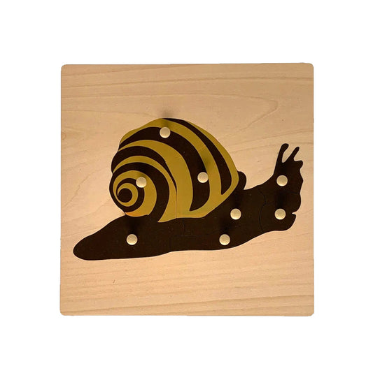Snail  Puzzle