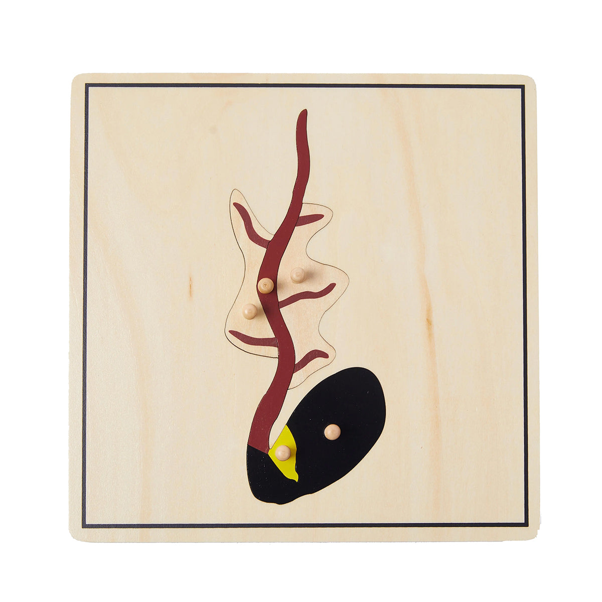 Life Cycle of Seed Puzzle -SET of 4