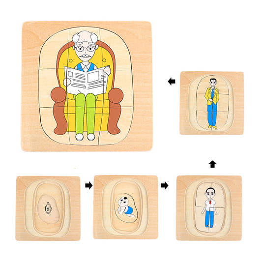 Life Cycle of Man Puzzle