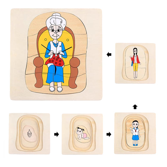 Life Cycle of Woman Puzzle