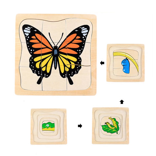 Life Cycle of Butterfly Puzzle