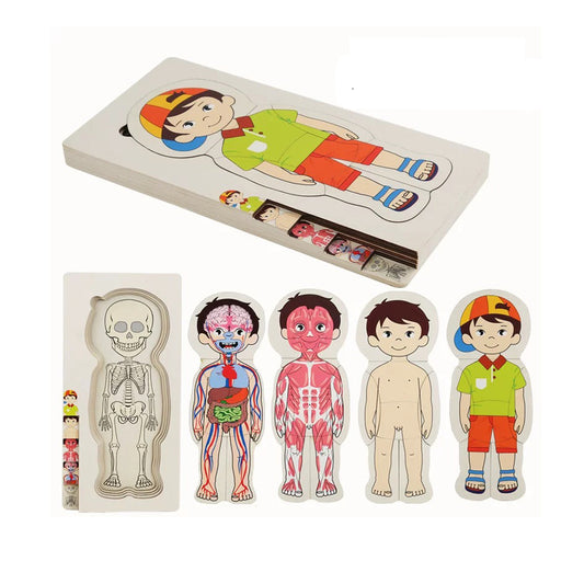 Body Puzzle of Man