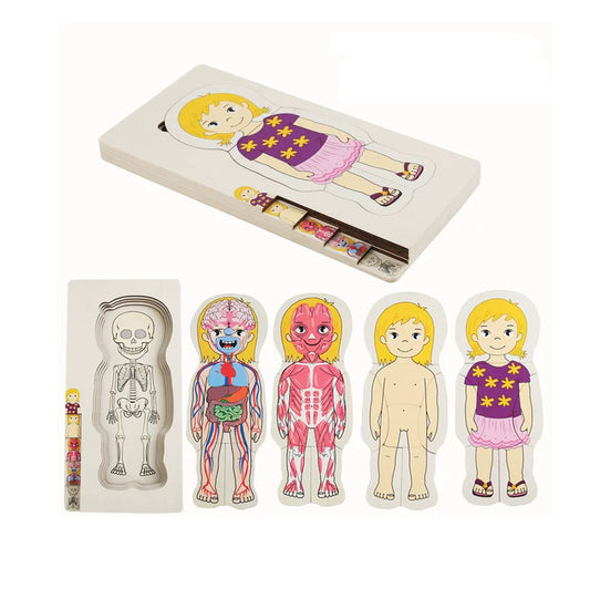 Body Puzzle of Woman