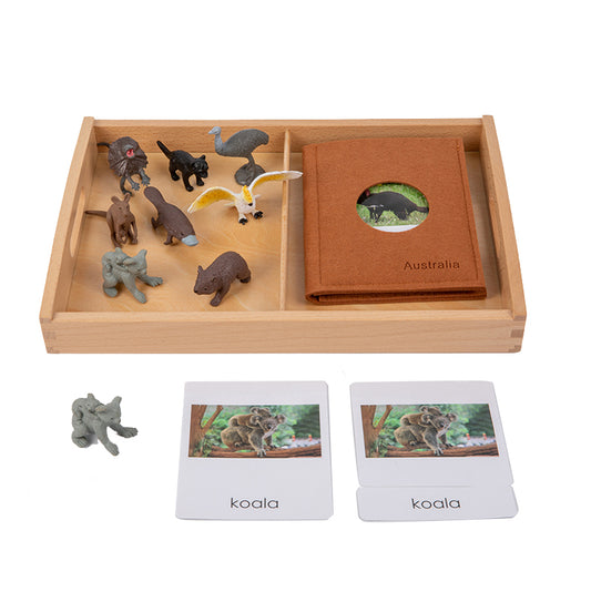 Animal from Australia Objects with Sorting Cards