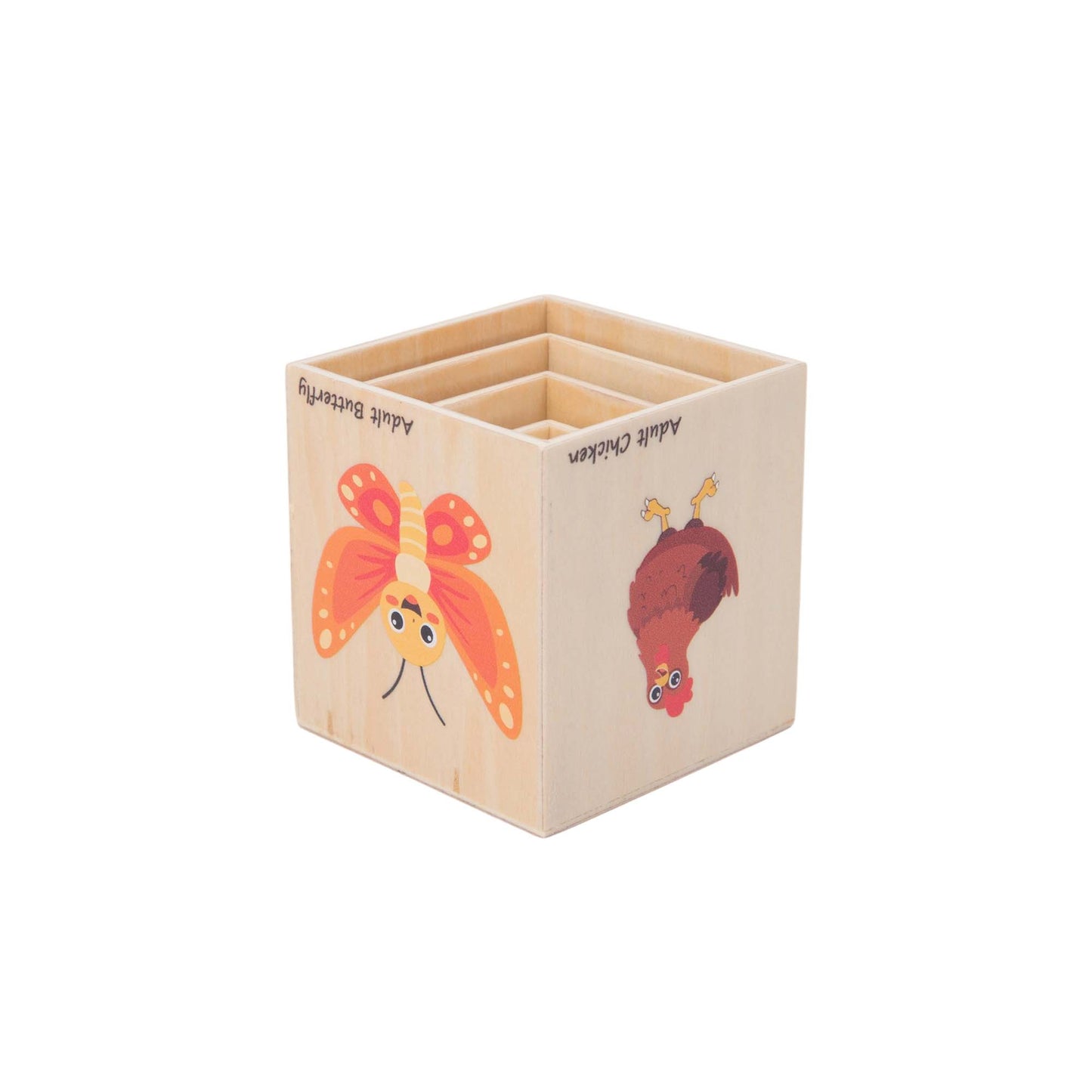 Life Cycle Box Set