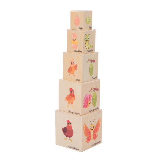 Life Cycle Box Set