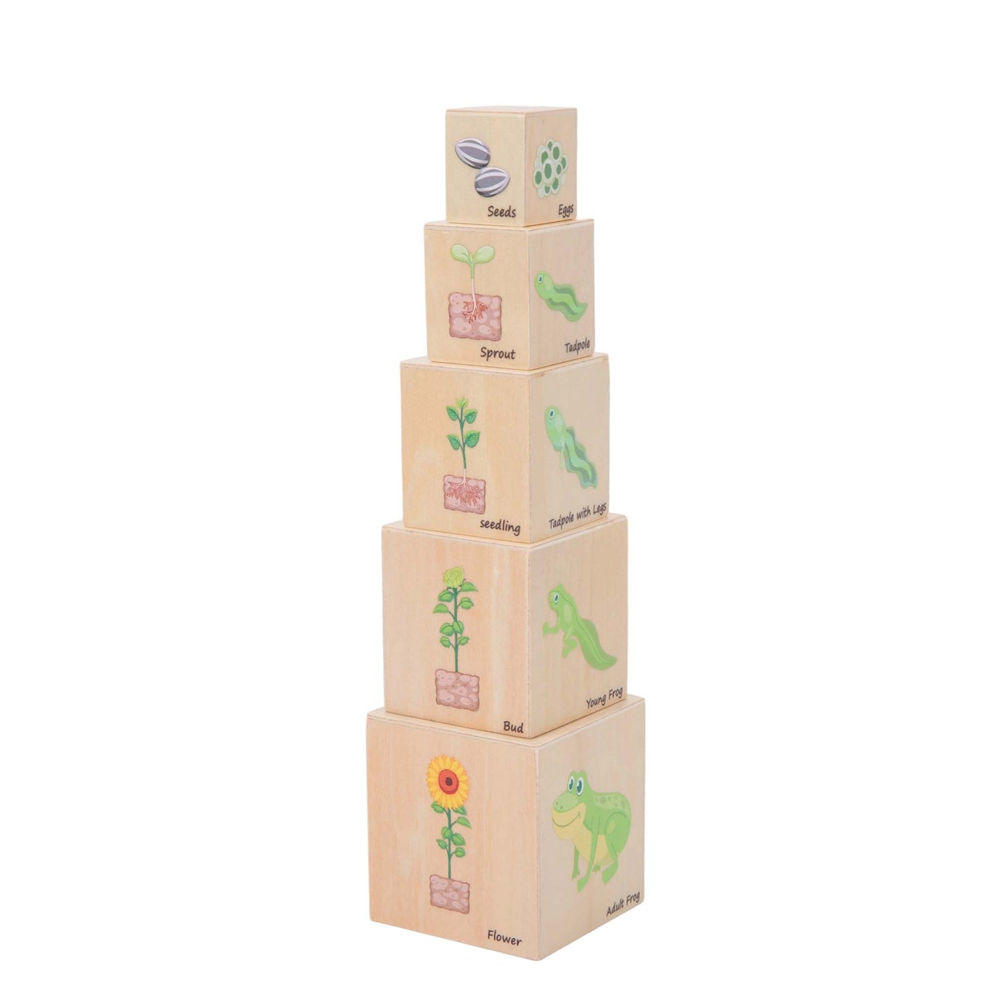 Life Cycle Box Set