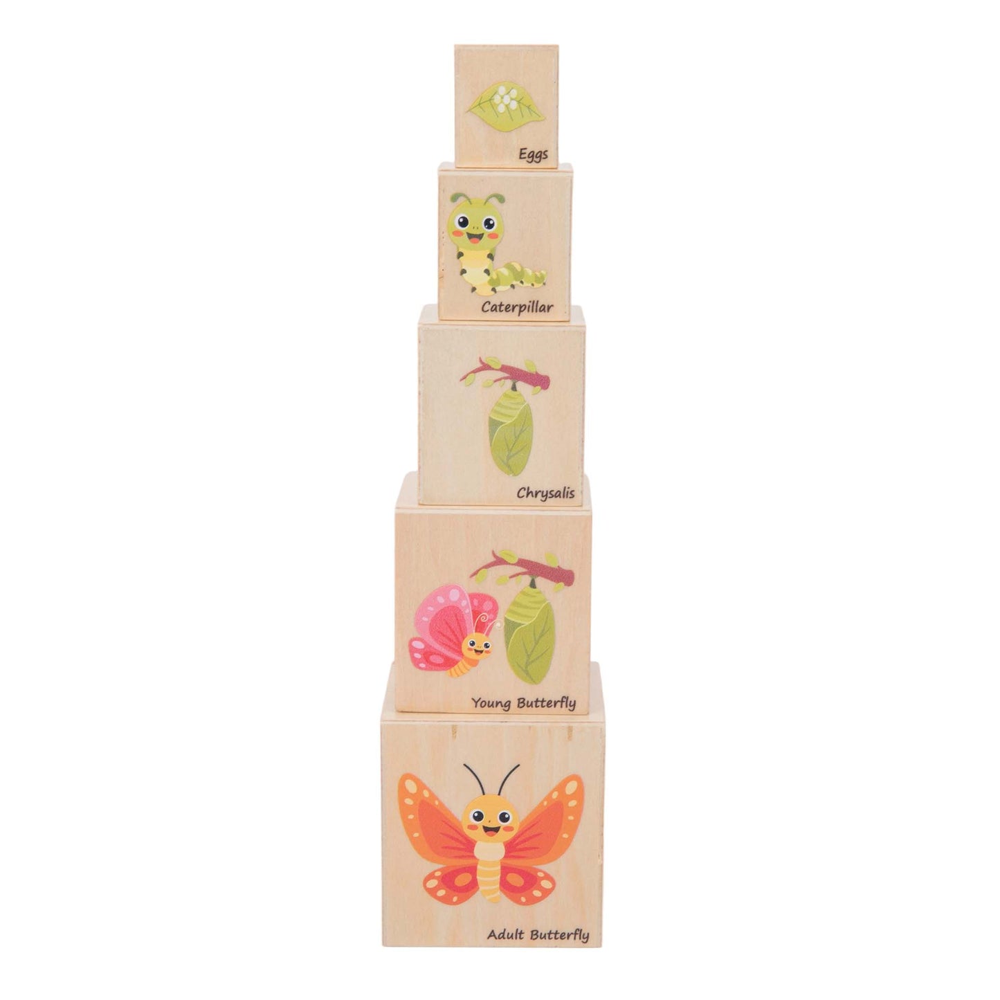 Life Cycle Box Set