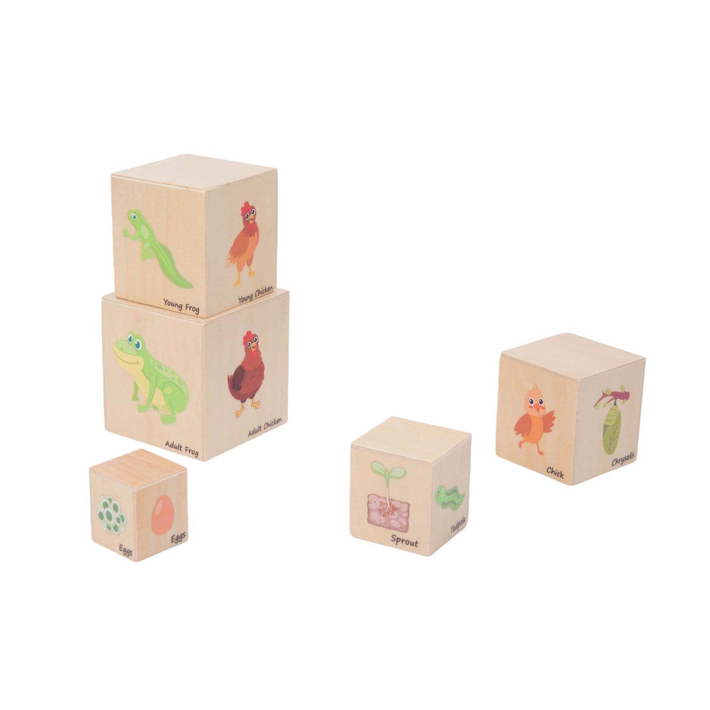 Life Cycle Box Set