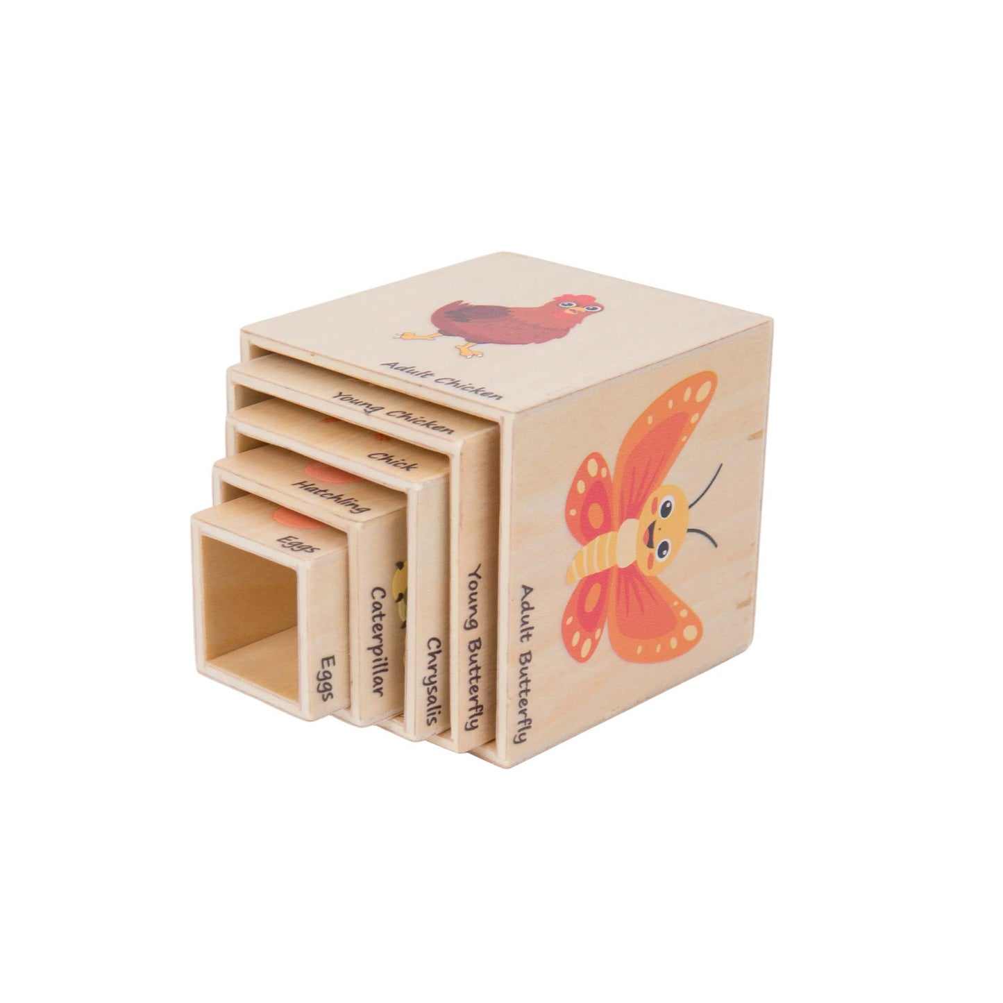 Life Cycle Box Set
