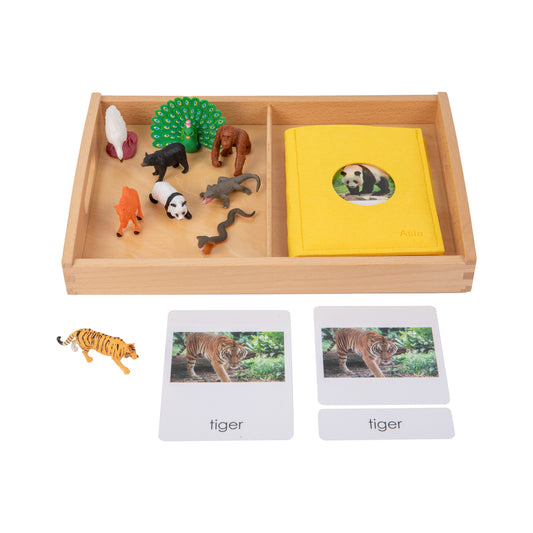 Animal from Asia Objects with Sorting Cards