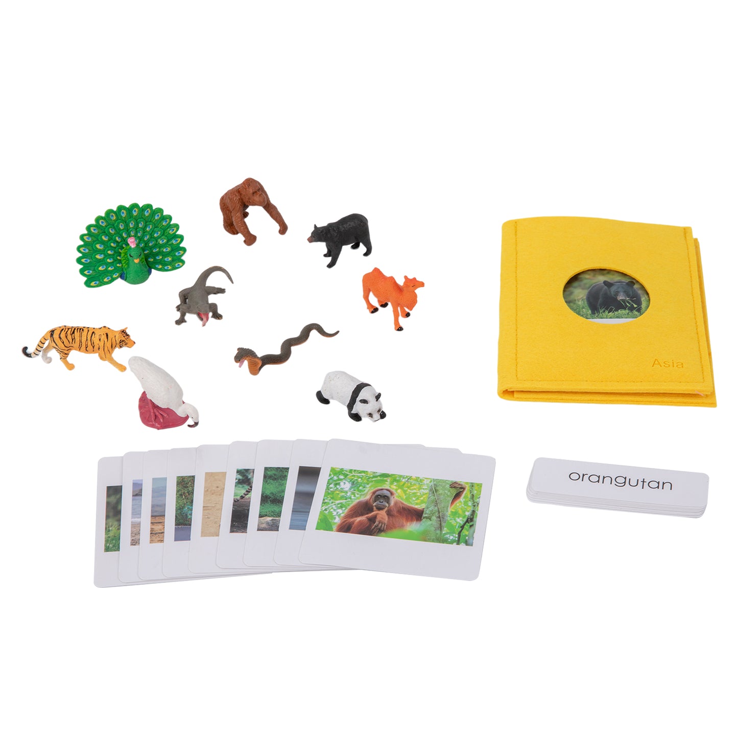 Animal from Asia Objects with Sorting Cards