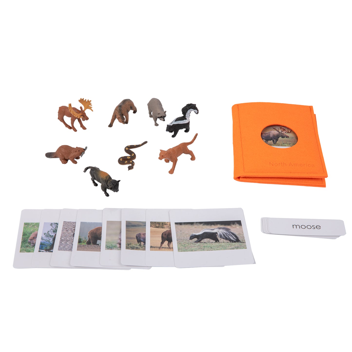 Animal from North America Objects with Sorting Cards