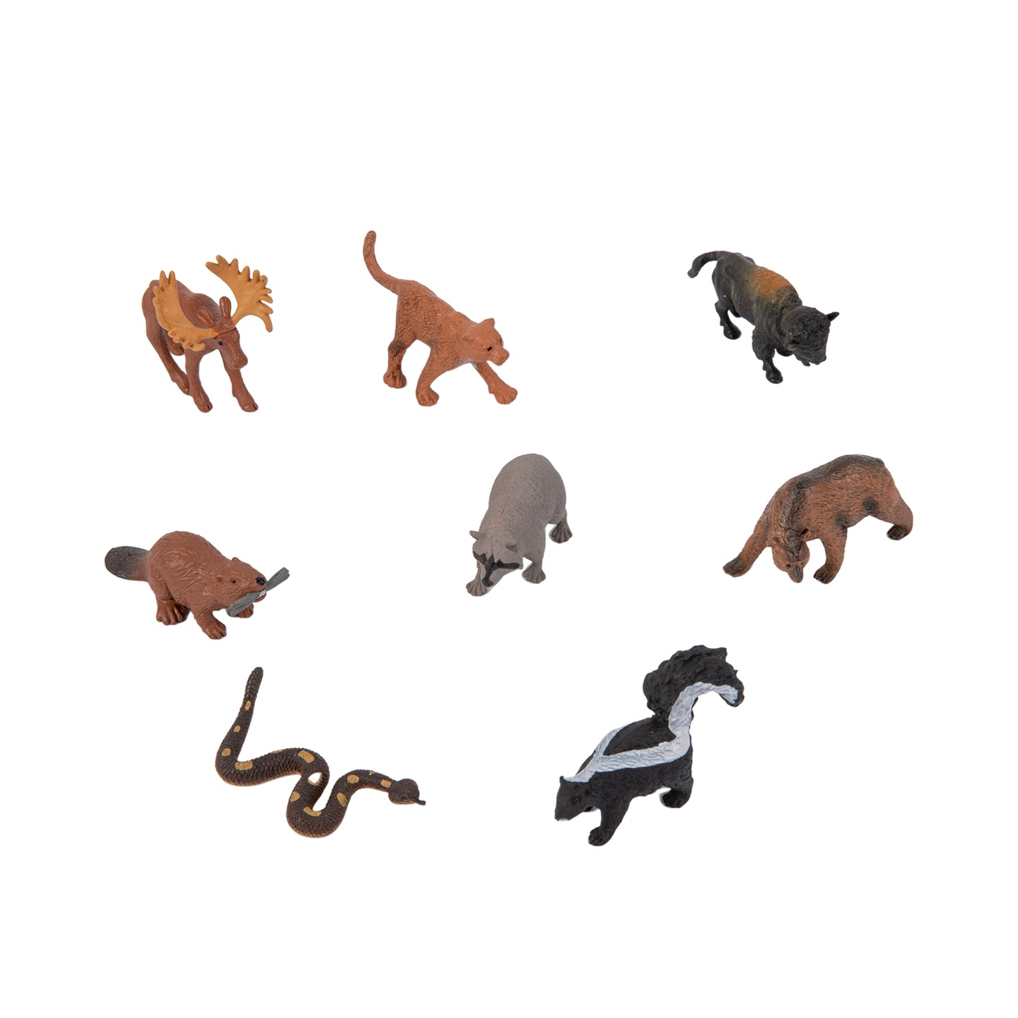 Animals from 7 Continents