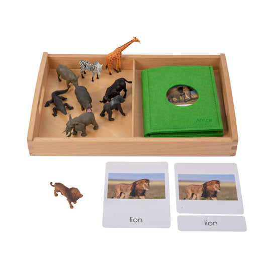 Animal from Africa Objects with Sorting Cards