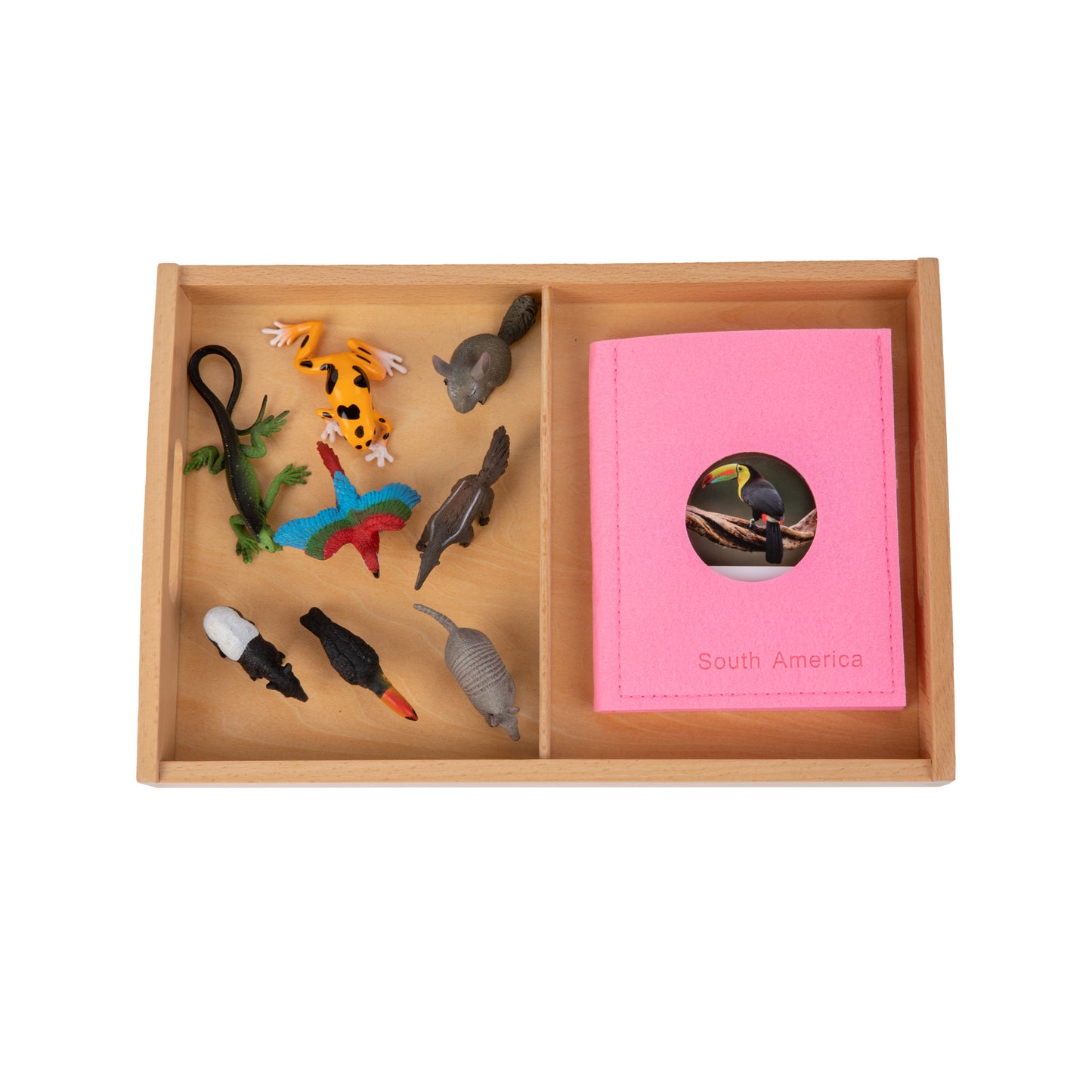 Animal from South America Objects with Sorting Cards