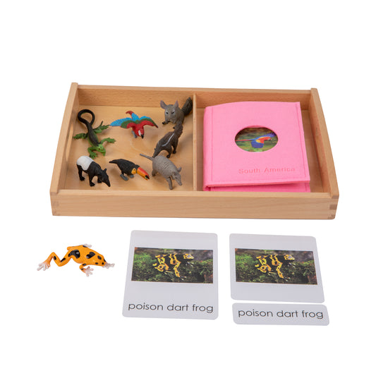 Animal from South America Objects with Sorting Cards