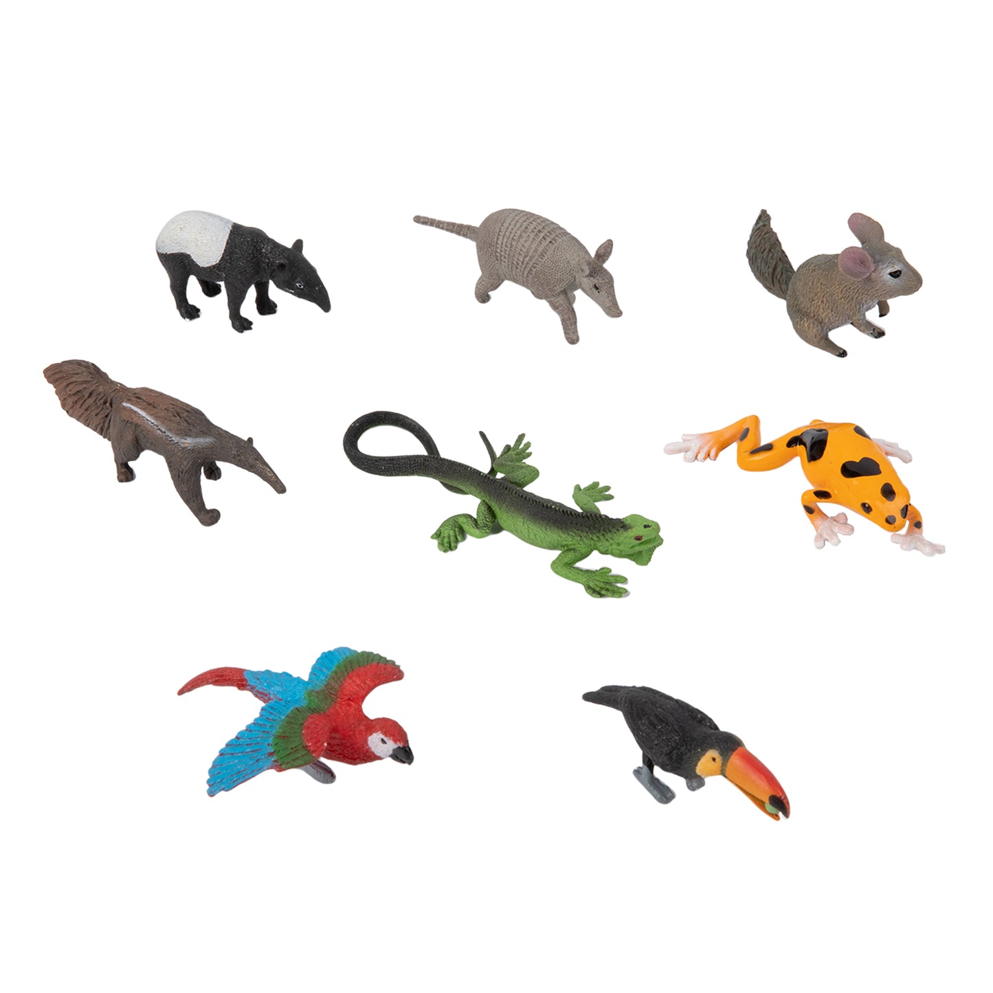 Animals from 7 Continents