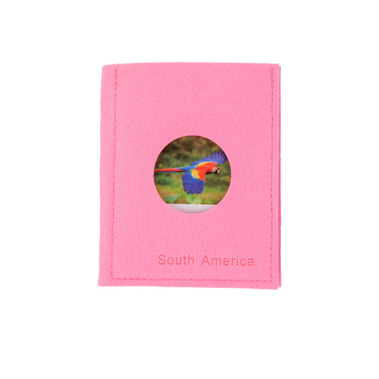 South American  Wildlife  Sorting Cards
