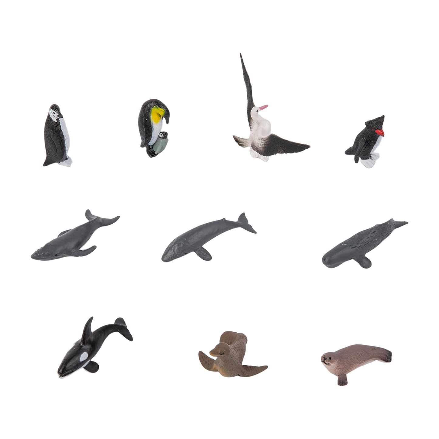 Animal from Antarctica Objects with Sorting Cards
