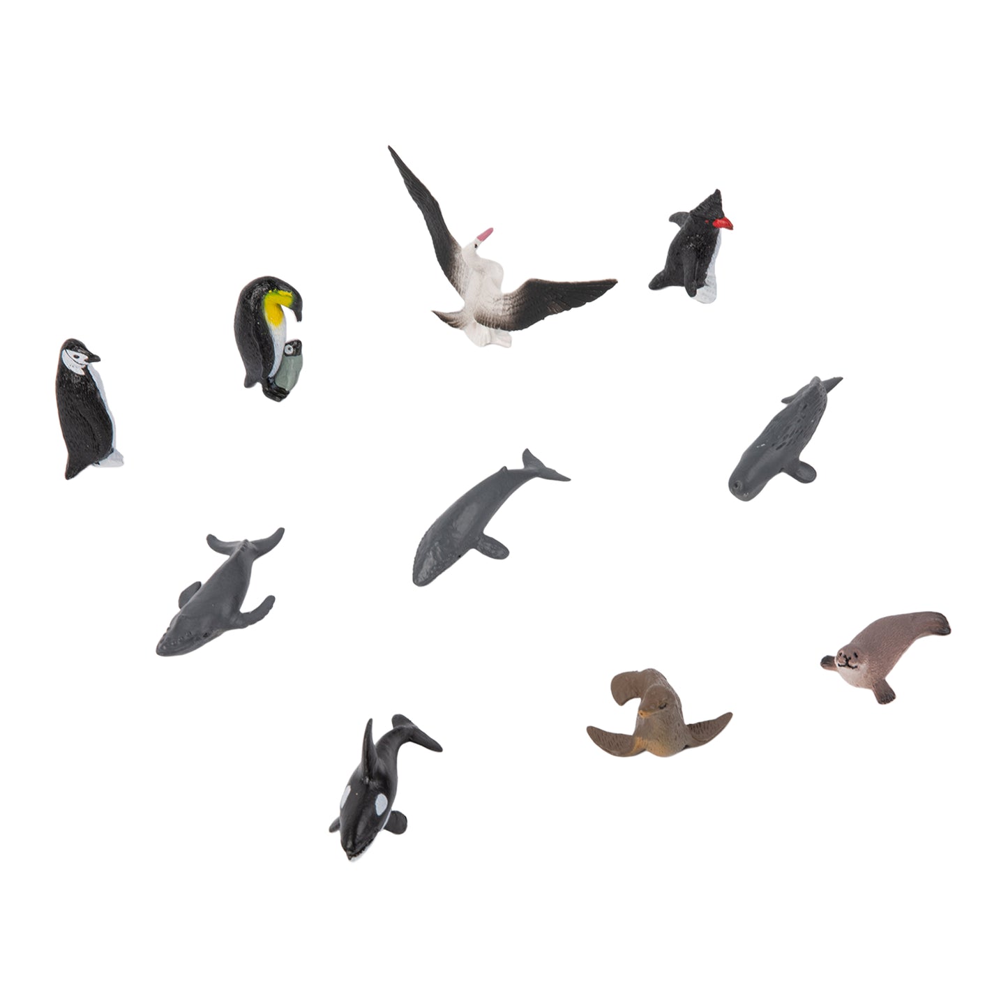 Animal from Antarctica Objects