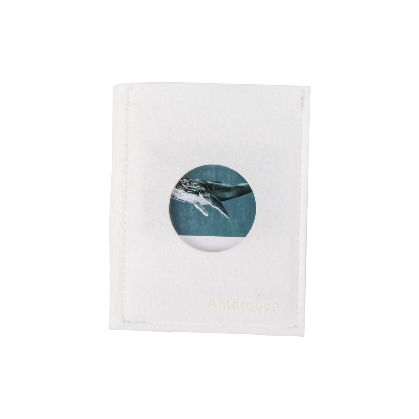 Antarctica Wildlife Sorting Cards EN