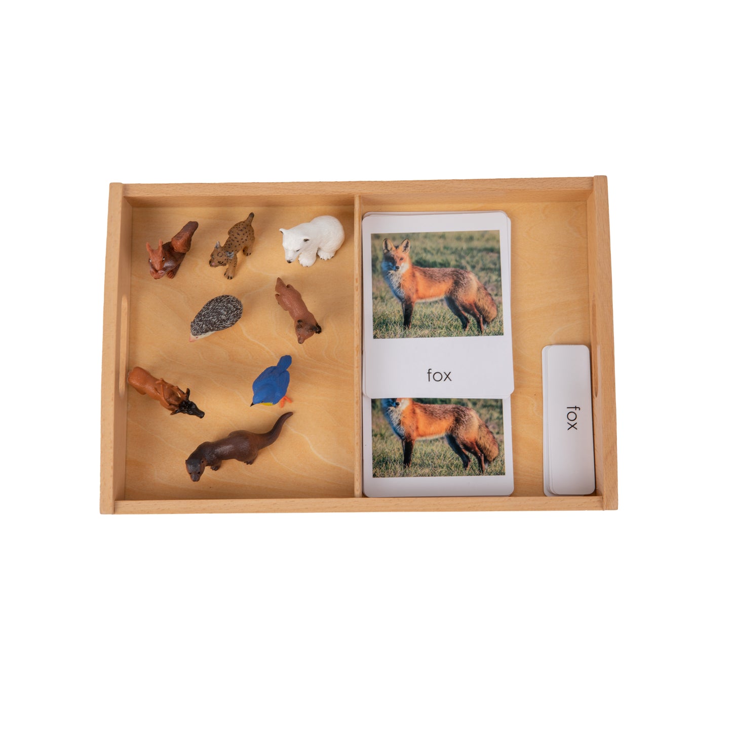 Animal from Europe Objects with Sorting Cards