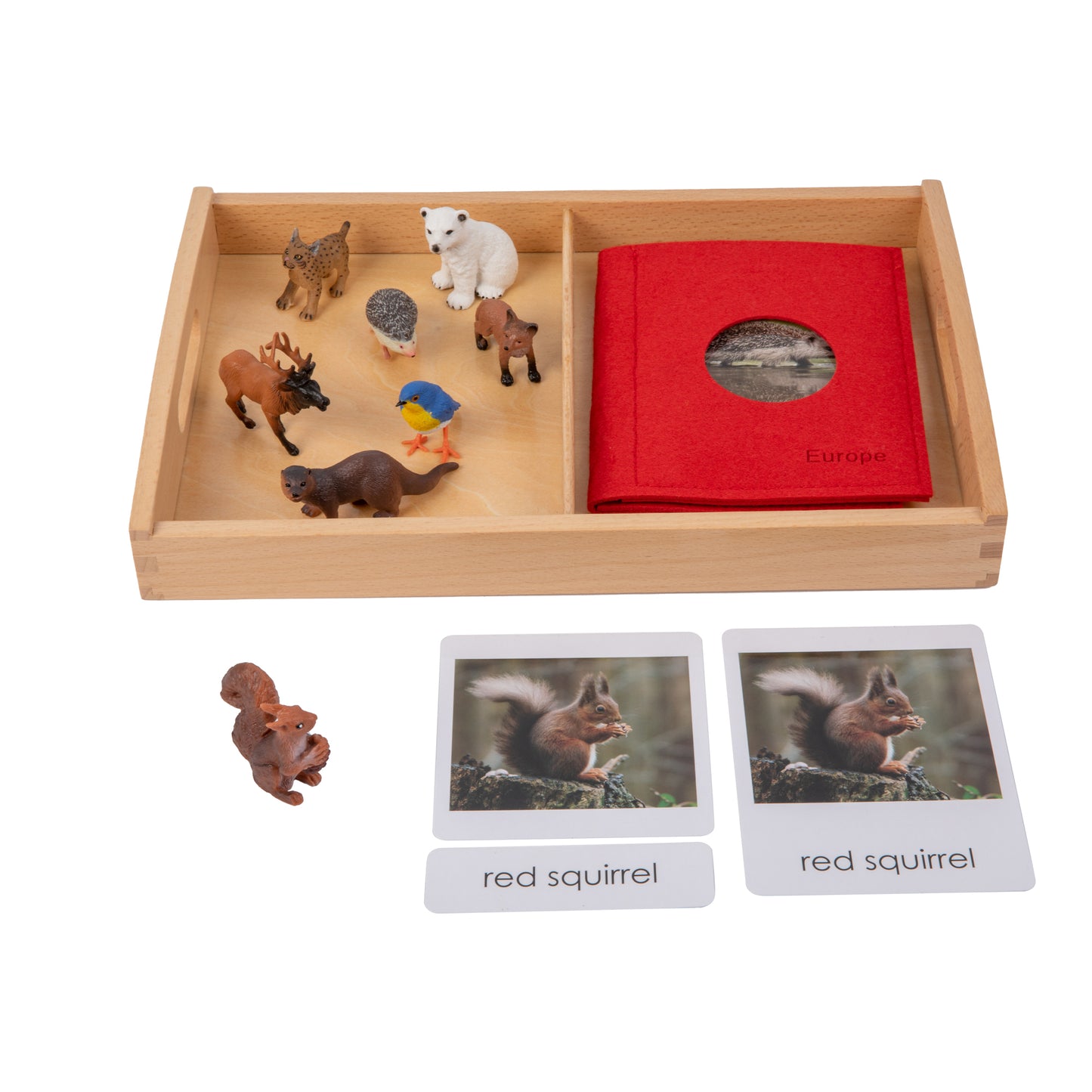 Animal from Europe Objects with Sorting Cards