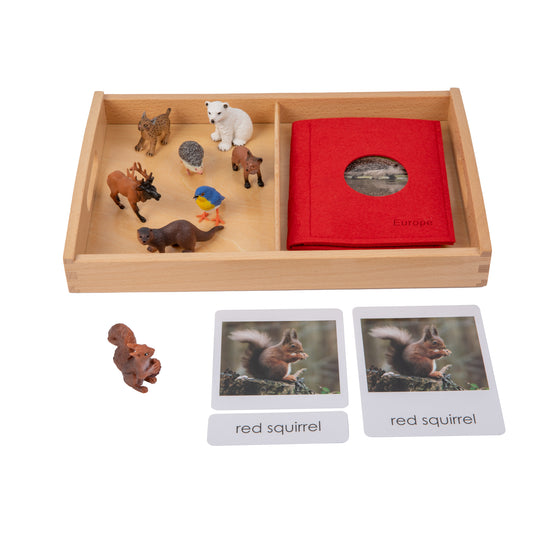 Animal from Europe Objects with Sorting Cards