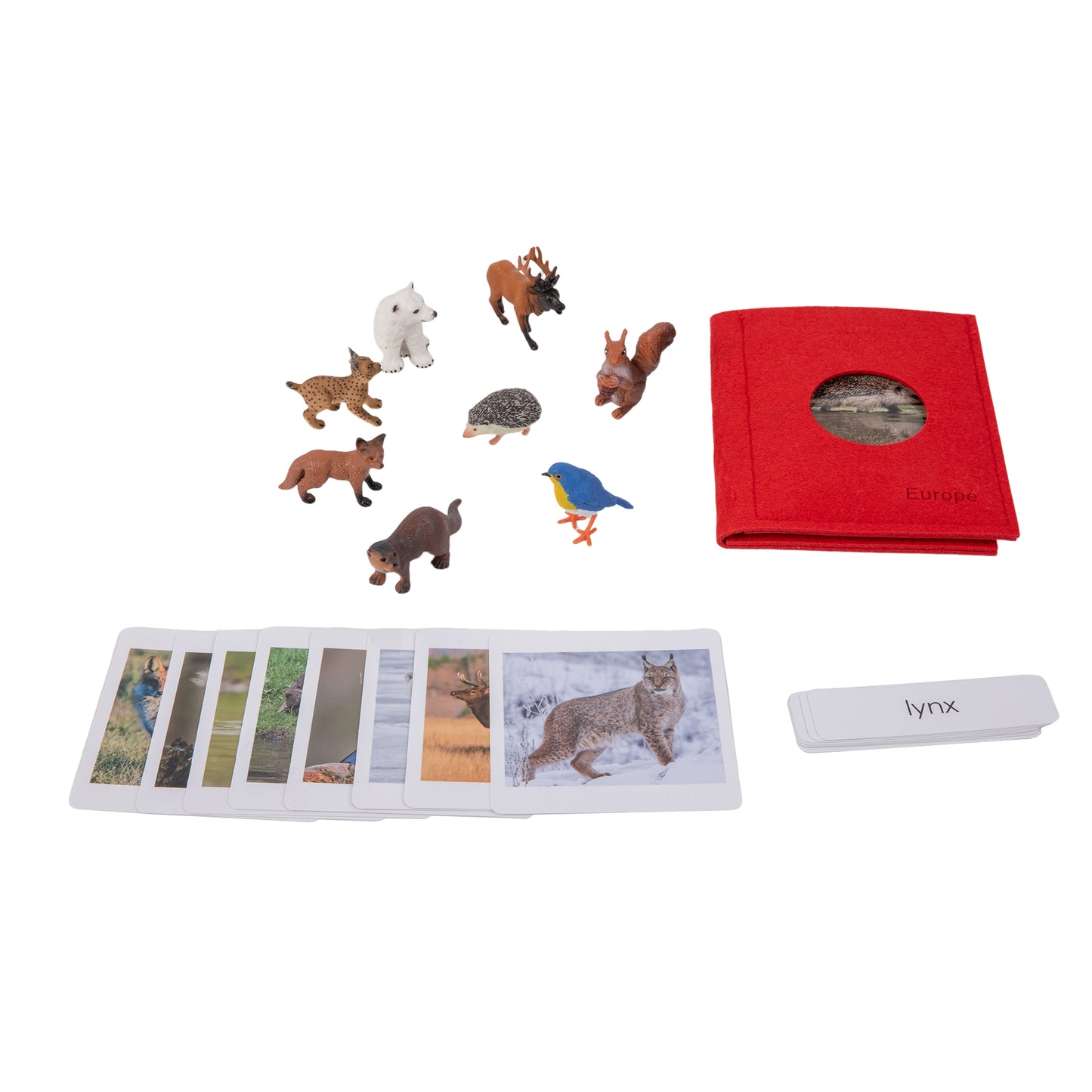 Animal from Europe Objects with Sorting Cards