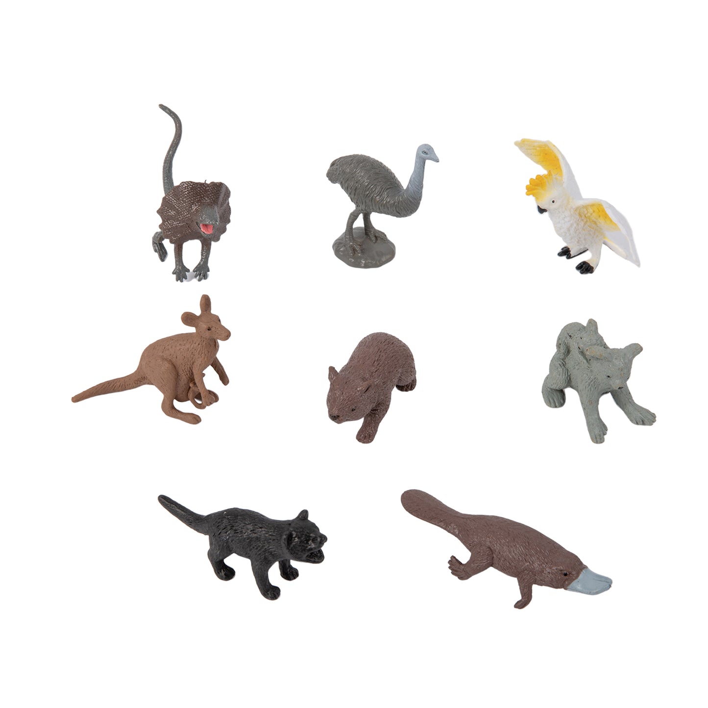 Animals from 7 Continents