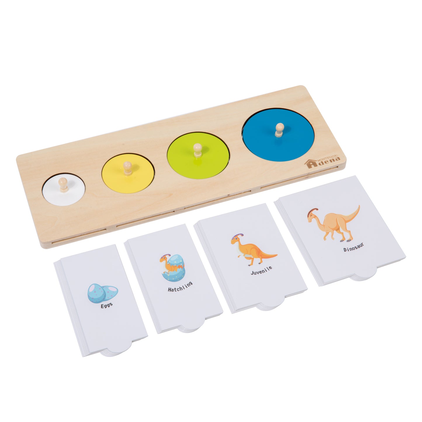 Multiple Shapes Puzzle with Life Cycle Cards