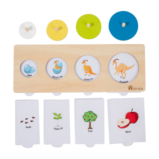 Multiple Shapes Puzzle with Life Cycle Cards