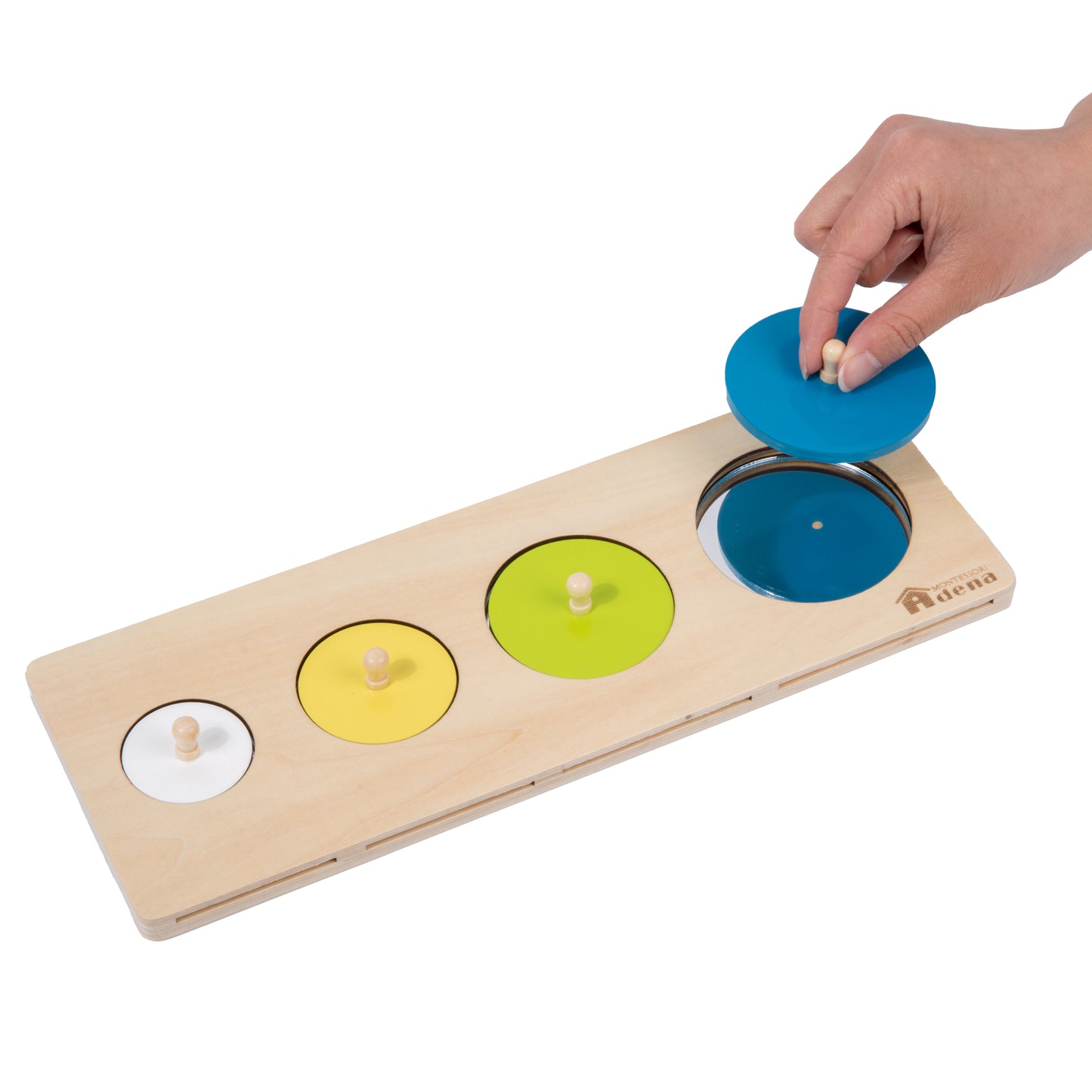 Multiple Shapes Puzzle with Life Cycle Cards