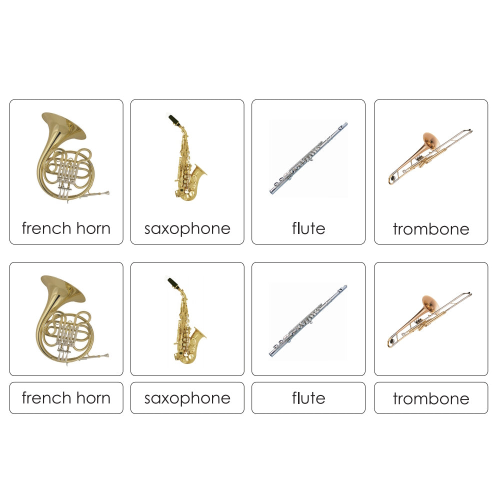 Sorting Cards-Western Instruments EN