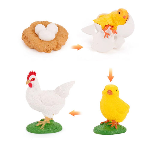Life Cycle Objects - Chick