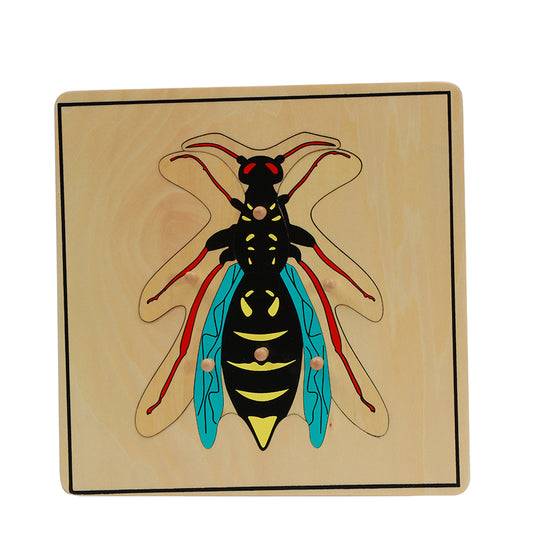 Wasp Puzzle