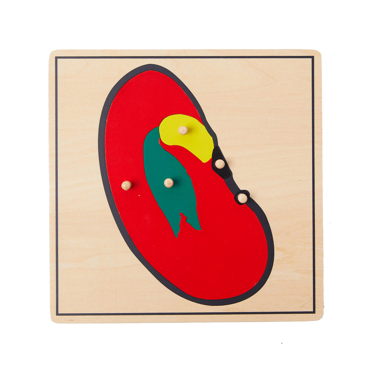 Life Cycle of Seed Puzzle -SET of 4