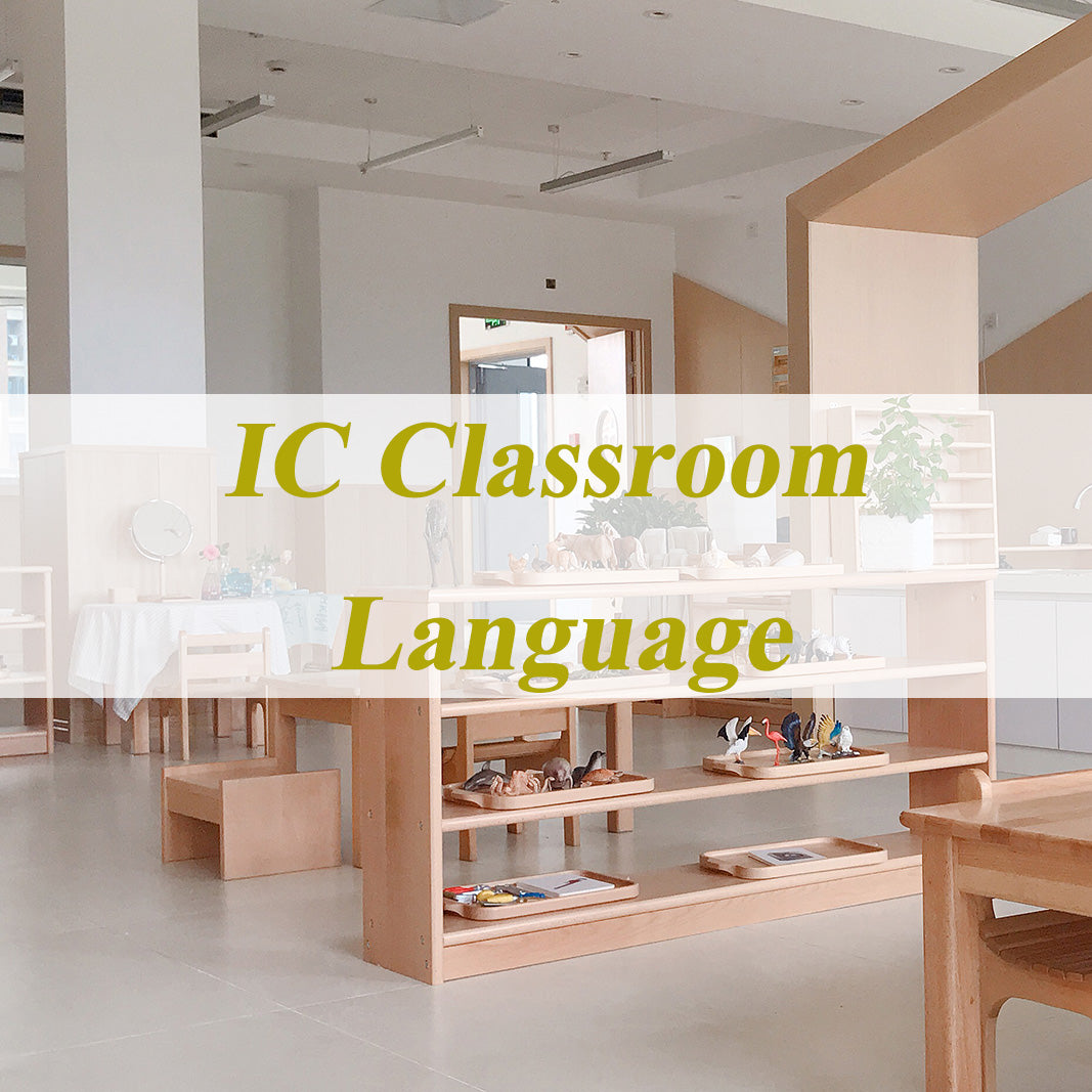 IC Language Package (0-3)   | 16 Items