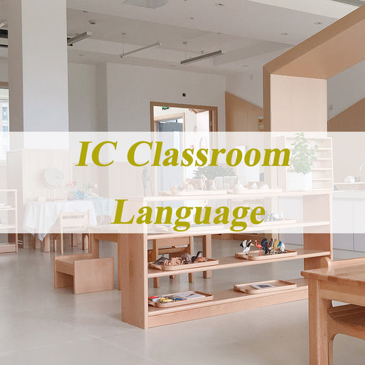 IC Language Package (0-3)   | 16 Items