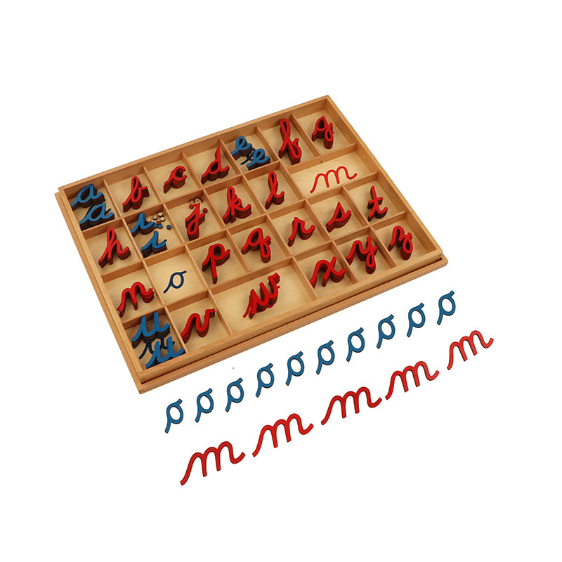 Small Cursive Moveable Alphabet